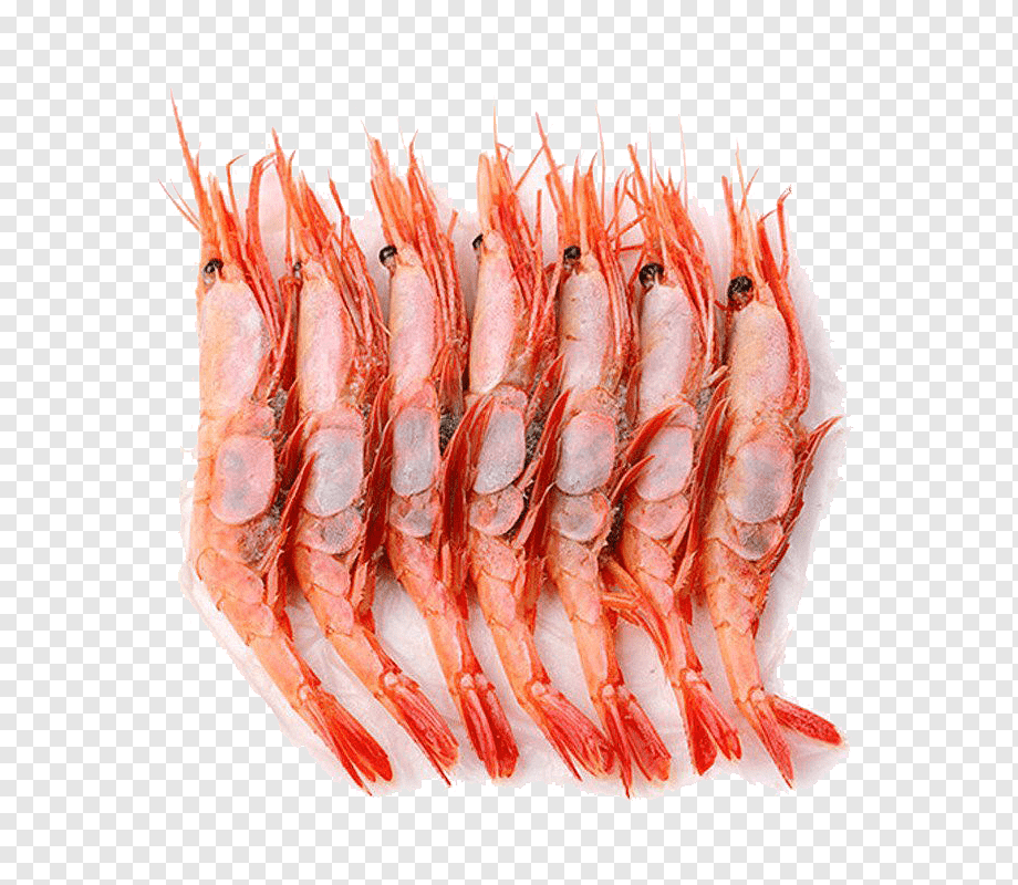 Frozen Shrimp